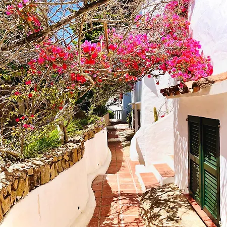 Daire Lovely Menorca, Amazing Sea Views And Sunsets.