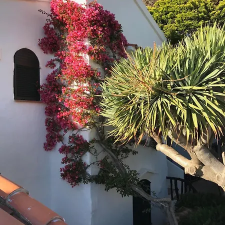 Daire Lovely Menorca, Amazing Sea Views And Sunsets.